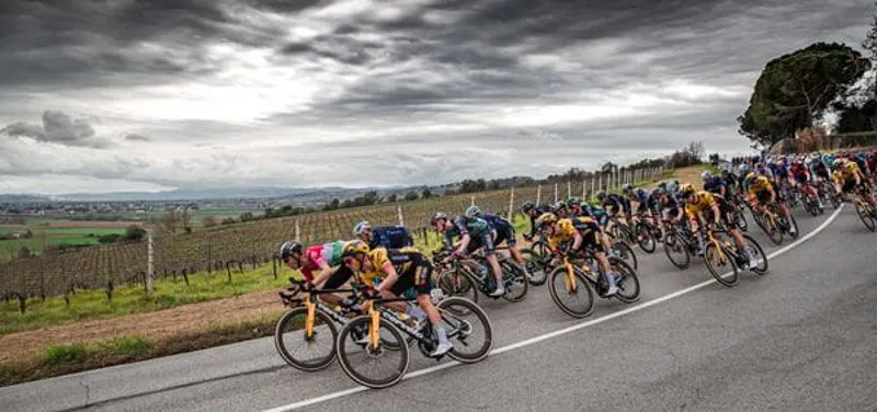 Vittoria Corsa PRO Hookless Compatible Tubeless TLR Tyres : BLACK/PARA-2