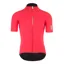 Q36.5 Womens Pinstripe PRO Short Sleeve Cycling Jersey : RUBINO