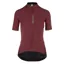 Q36.5 Womens Pinstripe PRO Short Sleeve Cycling Jersey : SIENA