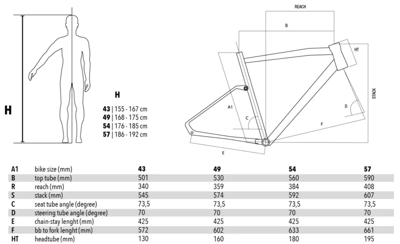 Basso Tera Geometry